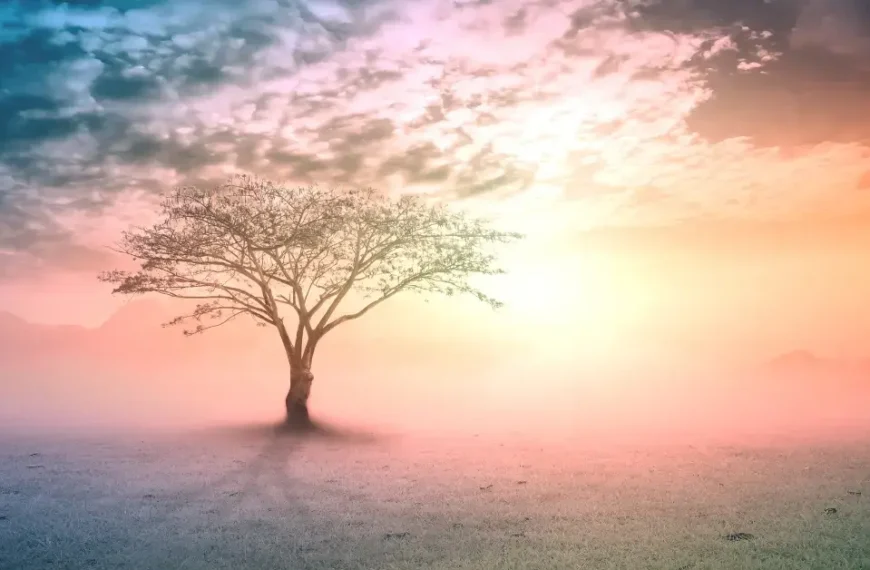 Latest Articles 15 beautiful spiritual art: There is a colorful tree in the middle of the field