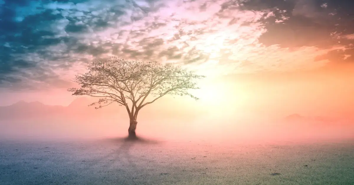 beautiful spiritual art: There is a colorful tree in the middle of the field