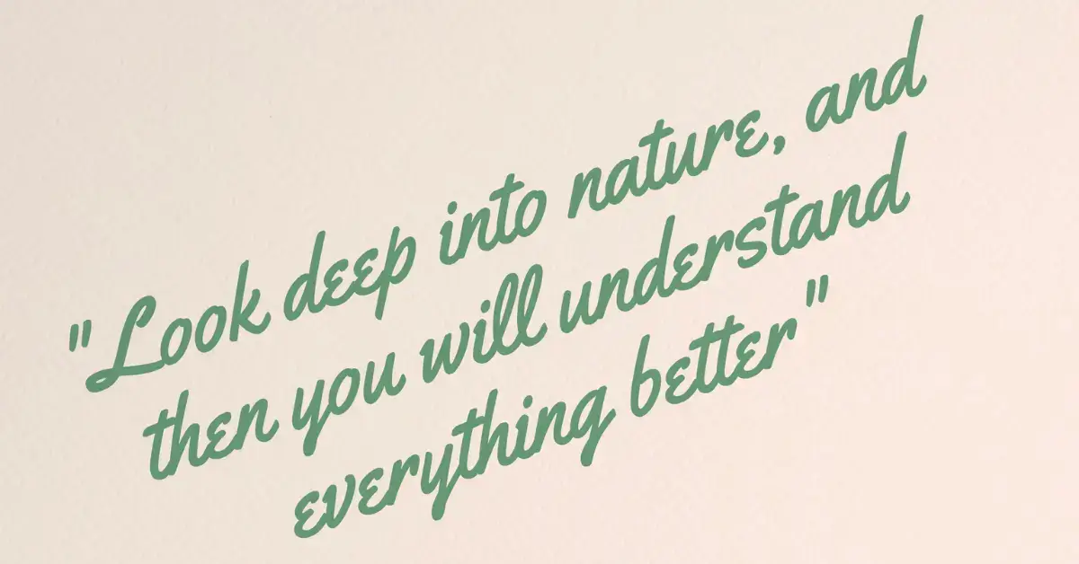 20+ Quotes About Natural Healing You Need To Know 2024 1 Quotes About Natural Healing: there is a quote about the nature