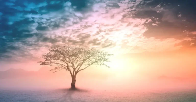 Spiritual Meaning of Colors: Rainbow's Message 2024 5 Spiritual Meaning of Colors: a tree stays in the middle and there are a lot of colors