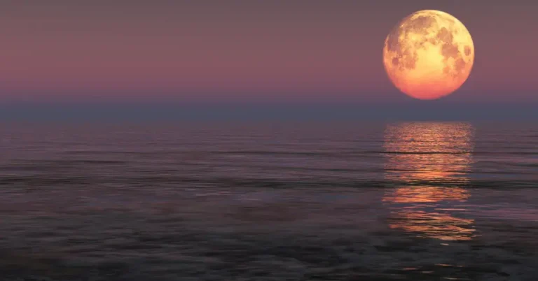 Strawberry Moon Spiritual Meaning: Embracing The Energy 2024 10 Strawberry Moon Spiritual Meaning: A tall, sturdy tree with lush green leaves stands against a backdrop of a radiant, full strawberry moon, symbolizing spiritual significance and divine connection