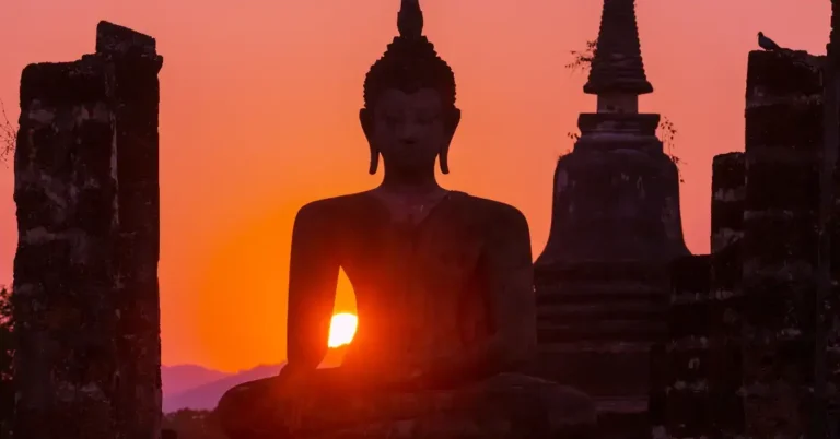 How Much Is Perm Buddha? Find Out The Latest Prices 2024 4 How Much Is Perm Buddha: buddha sit and look at the city